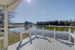 Tiny FishHouse on a Catfish Pond and Fluffy Cows - Image 5