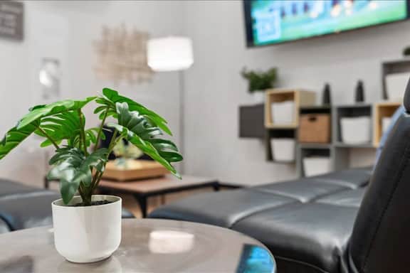1B Farm Stay in Large Luxury European Barndominium - Image 5
